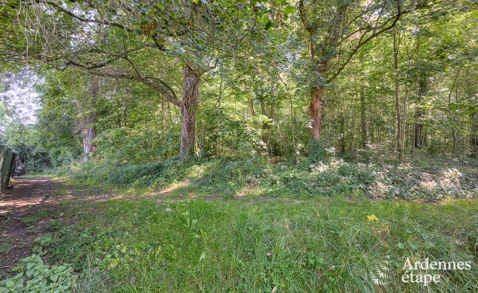 Ferienhaus Rochefort 12 Pers. Ardennen Wellness