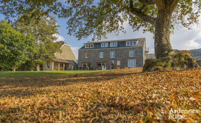 Ger�umiges Ferienhaus in Rochefort in den Ardennen f�r 24 Personen mit Sauna, Spielzimmer und privatem Garten