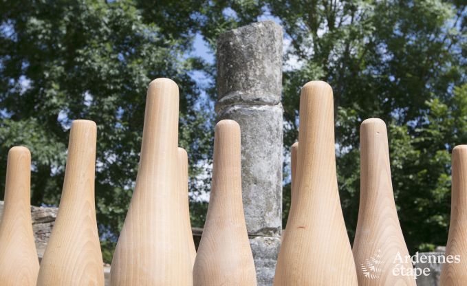 Ferienhaus Rochefort 10 Pers. Ardennen Wellness