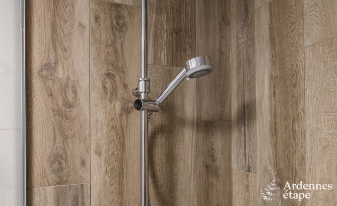 Ferienhaus Rochefort 10 Pers. Ardennen Wellness