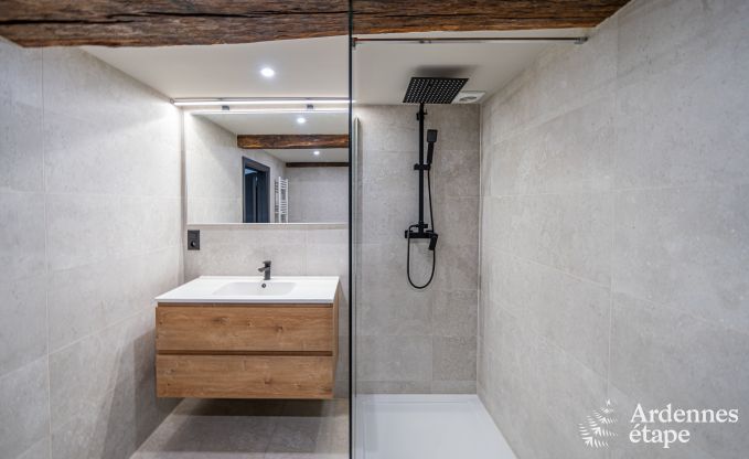 Hochwertig Ferienhaus f�r 32 Personen in Rochefort mit private Badezimmer und Naturpool