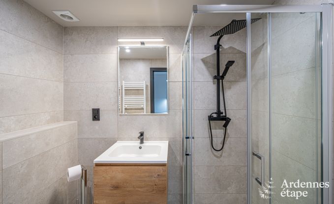 Hochwertig Ferienhaus f�r 32 Personen in Rochefort mit private Badezimmer und Naturpool