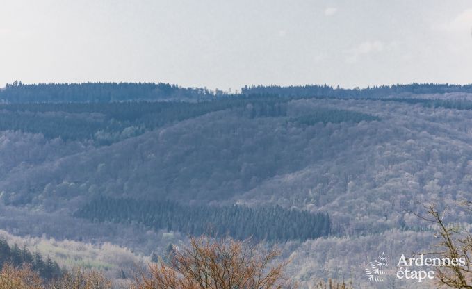 Ferienhaus Rochehaut 8 Pers. Ardennen