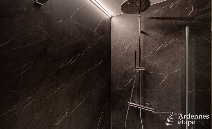 Moderne Villa in Rochehaut: Gerumige Unterkunft fr 12 Personen mit privatem Garten und Whirlpool