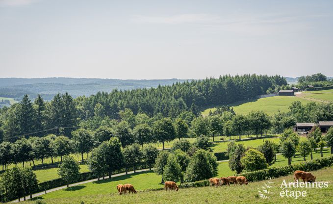 Moderne Villa in Rochehaut: Ger�umige Unterkunft f�r 12 Personen mit privatem Garten und Whirlpool