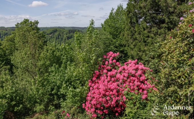 Ferienhaus Rochehaut 10/11 Pers. Ardennen