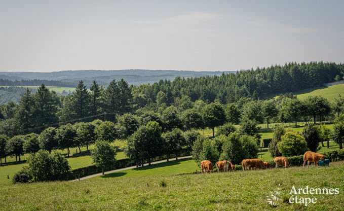 Gemtliches ebenerdiges Ferienhaus fr 2 Personen in Rochehaut mit Aussicht
