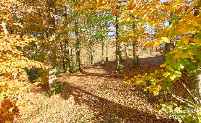 Moderne Ferienwohnung in Rochehaut in den Ardennen
