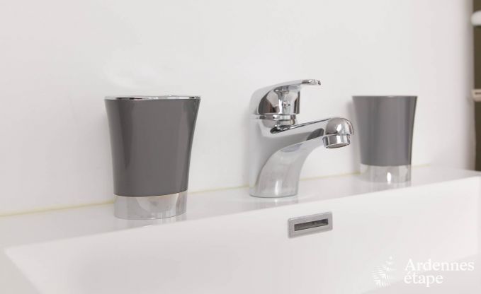 Ferienhaus Saint-Hubert (Awenne) 8 Pers. Ardennen