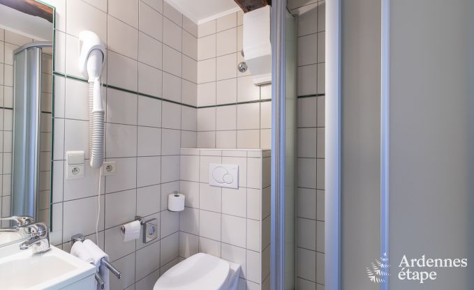 Ferienhaus Saint-Hubert (Mirwart) 18 Pers. Ardennen