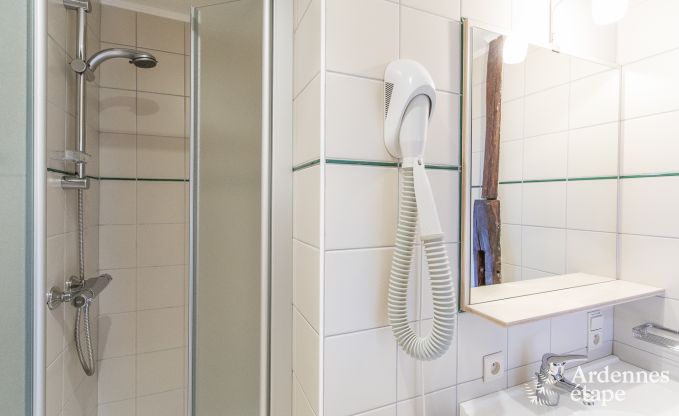 Ferienhaus Saint-Hubert (Mirwart) 18 Pers. Ardennen