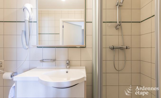 Ferienhaus Saint-Hubert (Mirwart) 18 Pers. Ardennen