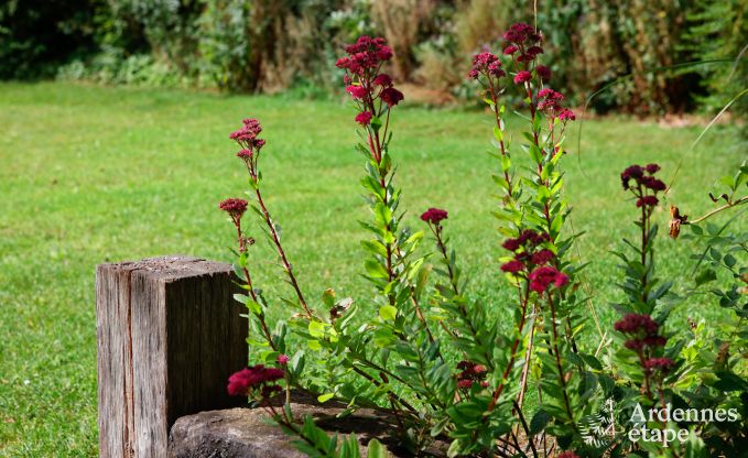 Ferienhaus Saint-Hubert 24/30 Pers. Ardennen Wellness Behinderten gerecht