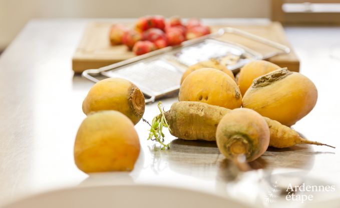 Ferienhaus Saint-Hubert 24/30 Pers. Ardennen Wellness Behinderten gerecht