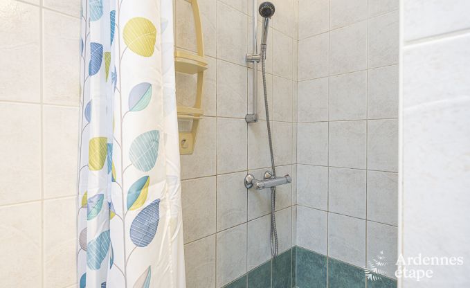 Ferienhaus Saint-Hubert 9 Pers. Ardennen