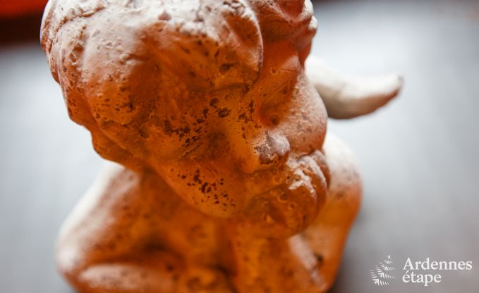 Ferienhaus Saint-Hubert 8/9 Pers. Ardennen