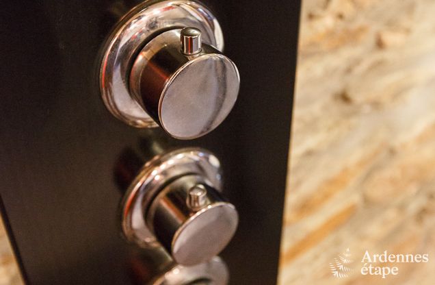 Ferienhaus Saint-Hubert 8/9 Pers. Ardennen