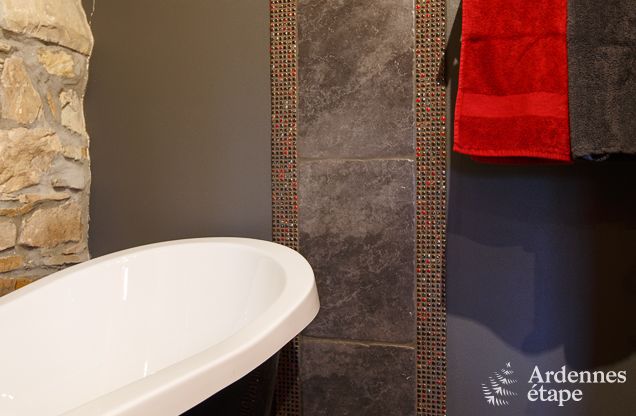 Ferienhaus Saint-Hubert 8/9 Pers. Ardennen