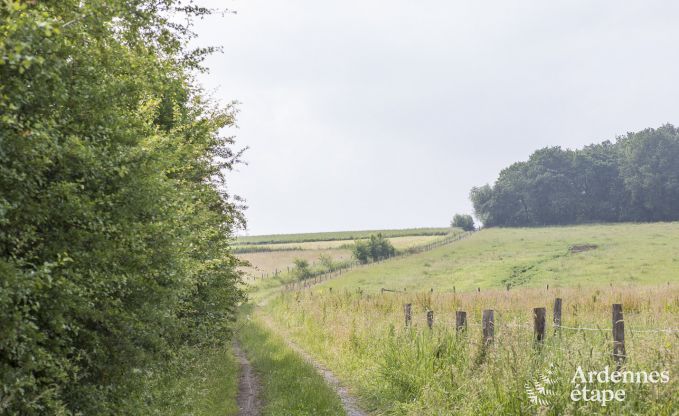 Ferienhaus Saint-Hubert 6 Pers. Ardennen