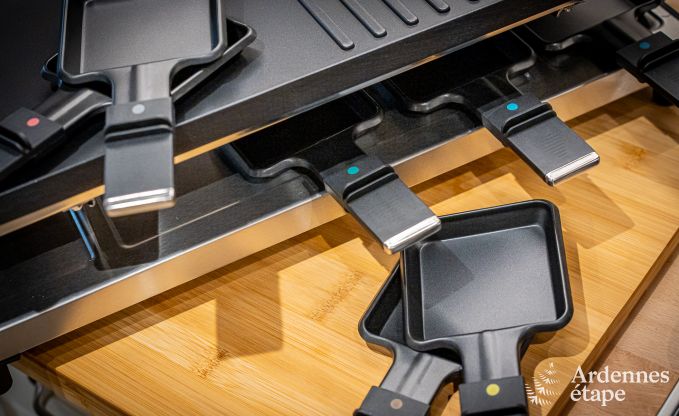 Hundefreundliches Ferienhaus mit Jacuzzi und Holzkohlegrill fr 9 Personen in Saint-Hubert, Ardennen.