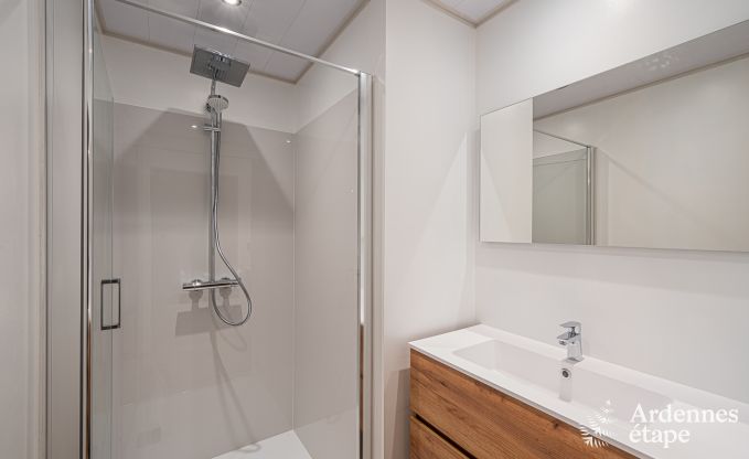 Hundefreundliches Ferienhaus mit Jacuzzi und Holzkohlegrill fr 9 Personen in Saint-Hubert, Ardennen.