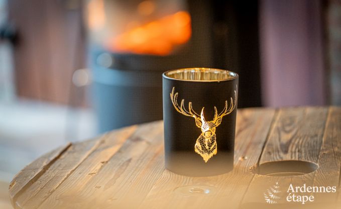 Hundefreundliches Ferienhaus mit Jacuzzi und Holzkohlegrill f�r 9 Personen in Saint-Hubert, Ardennen.