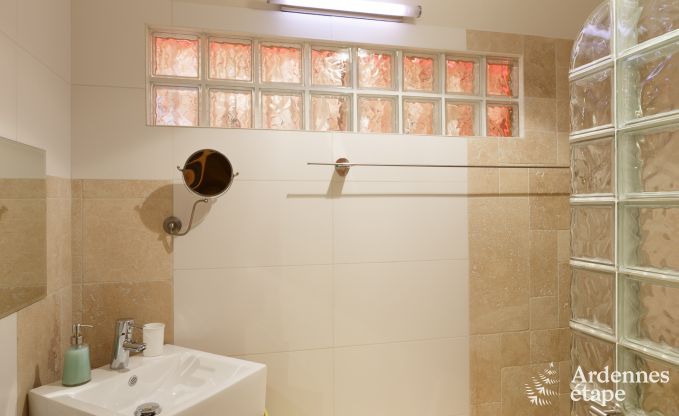 Ferienhaus Saint-Hubert 8 Pers. Ardennen Wellness