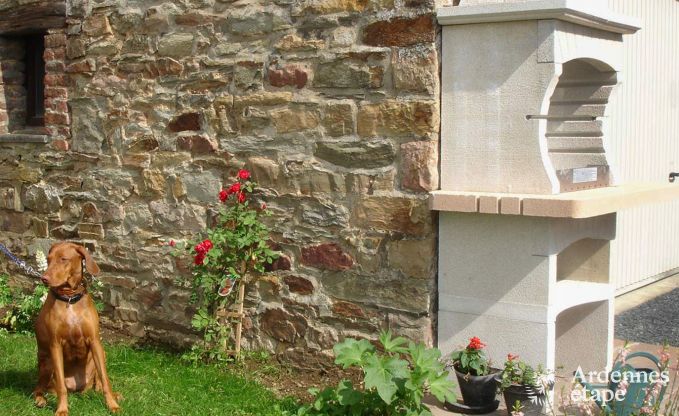 Ferienhaus Saint-Hubert 8 Pers. Ardennen Wellness