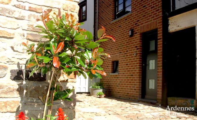 Ferienhaus Saint-Hubert 8 Pers. Ardennen Wellness