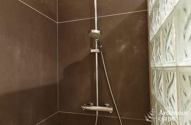 Ferienhaus Saint-Hubert 8 Pers. Ardennen Wellness