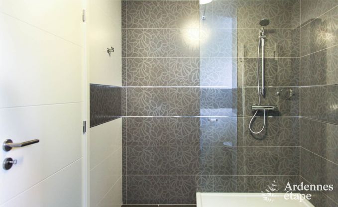 Ferienhaus Saint-Hubert 9 Pers. Ardennen Wellness