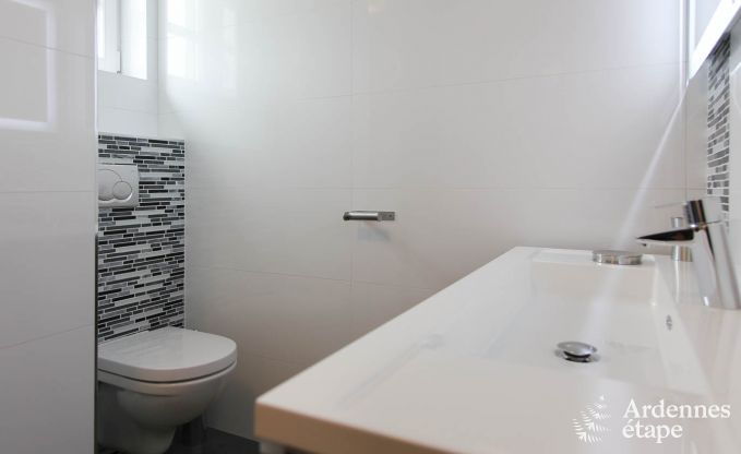 Ferienhaus Saint-Hubert 9 Pers. Ardennen Wellness