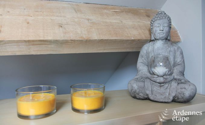 Ferienhaus Saint-Hubert 9 Pers. Ardennen Wellness