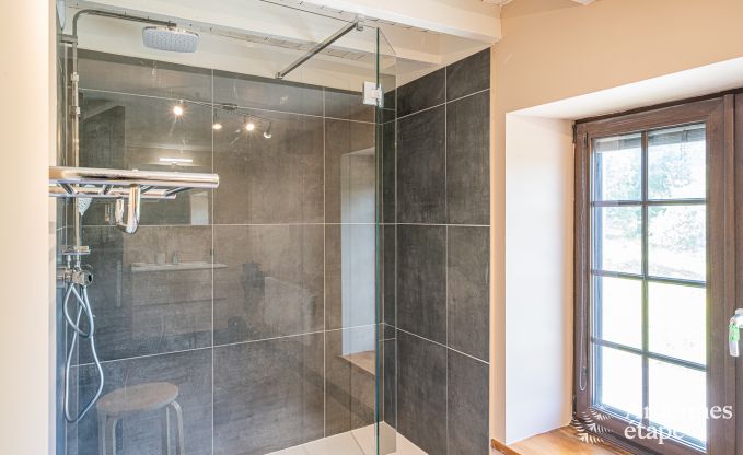 Ferienhaus Saint-Hubert 15 Pers. Ardennen Wellness