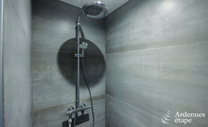 Luxusvilla Saint-Hubert 12 Pers. Ardennen Schwimmbad