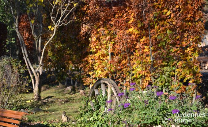 Ferienhaus Saint-Hubert 4 Pers. Ardennen Behinderten gerecht