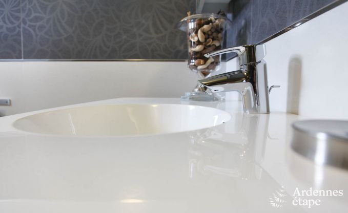 Ferienhaus Saint-Hubert 9 Pers. Ardennen Wellness