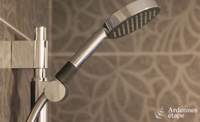 Ferienhaus Saint-Hubert 9 Pers. Ardennen Wellness