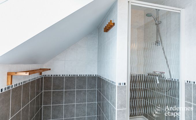 Ferienhaus Saint-Hubert 15 Pers. Ardennen Wellness