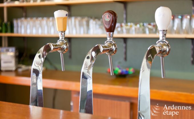 Ferienhaus Saint-Hubert 24/30 Pers. Ardennen Wellness Behinderten gerecht