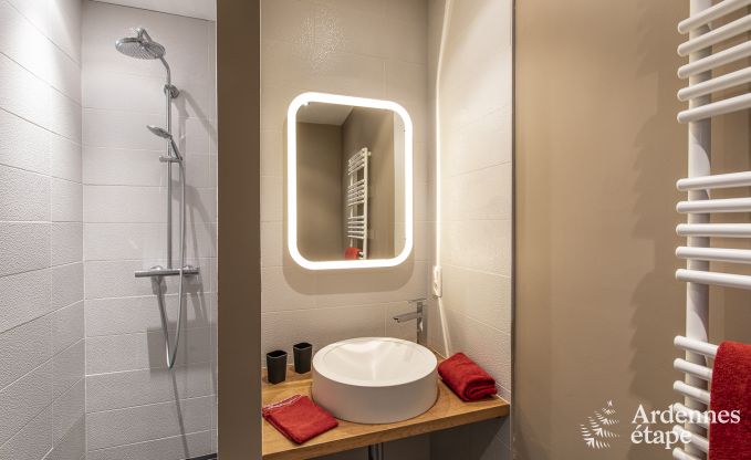 Ferienhaus Saint-Hubert 8 Pers. Ardennen Schwimmbad Wellness