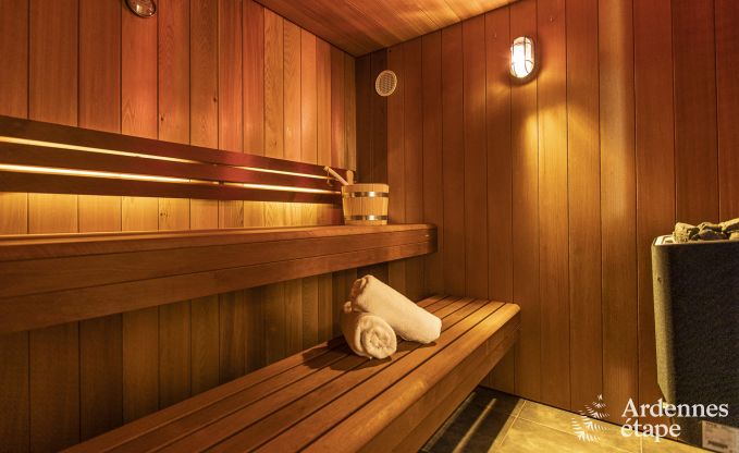 Ferienhaus Saint-Hubert 8 Pers. Ardennen Schwimmbad Wellness
