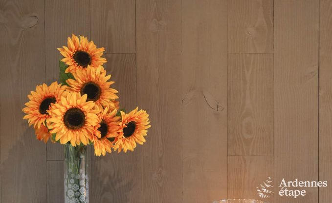 Ferienhaus Saint-Hubert 7 Pers. Ardennen Schwimmbad