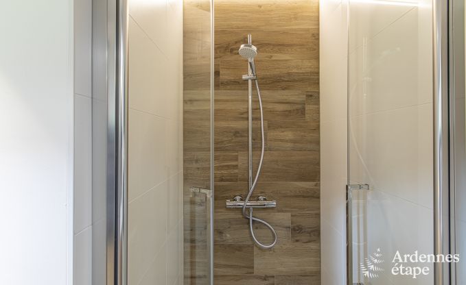 Luxusvilla Saint-Hubert 8/12 Pers. Ardennen Wellness