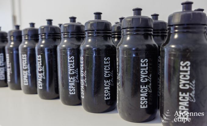 Ferienhaus Saint Lger 14 Pers. Ardennen Wellness