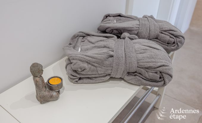 Ferienhaus Saint Lger 14 Pers. Ardennen Wellness