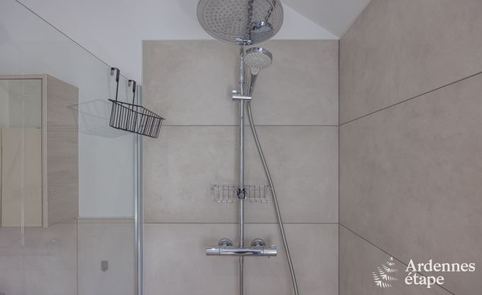 Ferienhaus Saint Lger 14 Pers. Ardennen Wellness