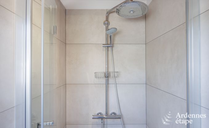 Ferienhaus Saint Lger 14 Pers. Ardennen Wellness