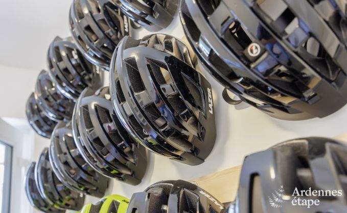 Ferienhaus Saint Lger 14 Pers. Ardennen Wellness