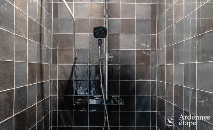 Ferienhaus Saint-Martin 8 Pers. Ardennen Wellness